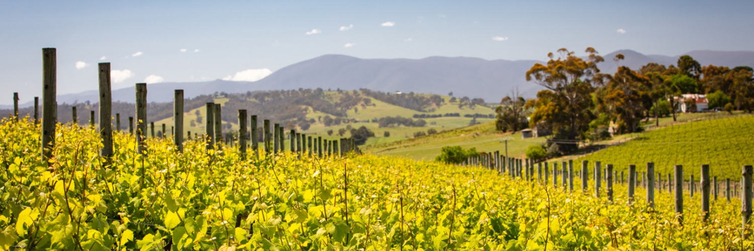 yarra-valley-agriculture